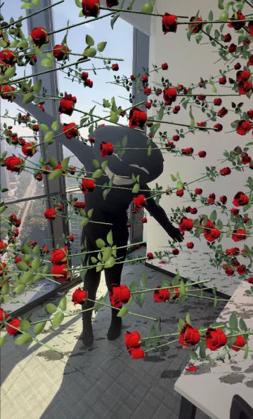 花 田 错（叉 叉 ver.）