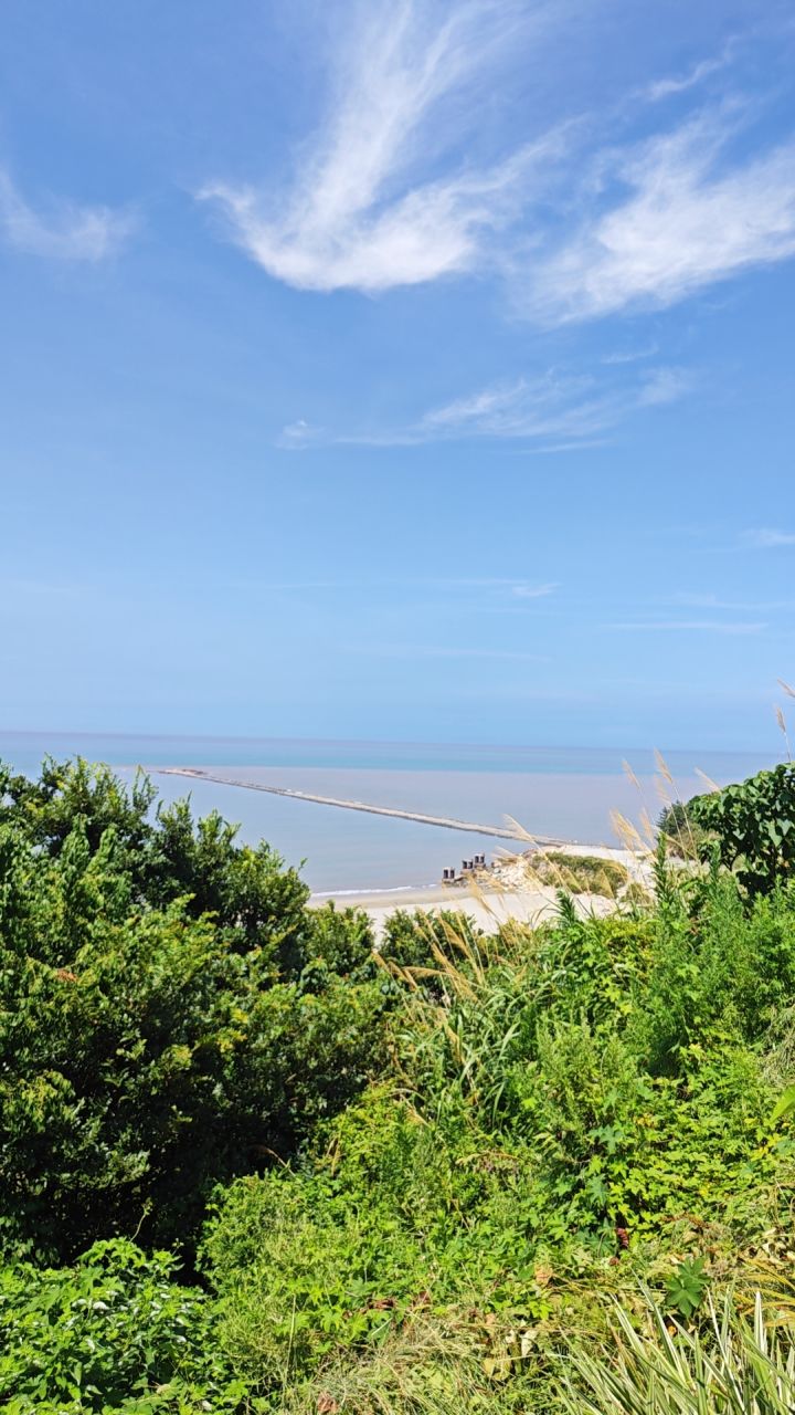 面朝大海许愿悟空截图