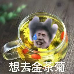 动态图片 4