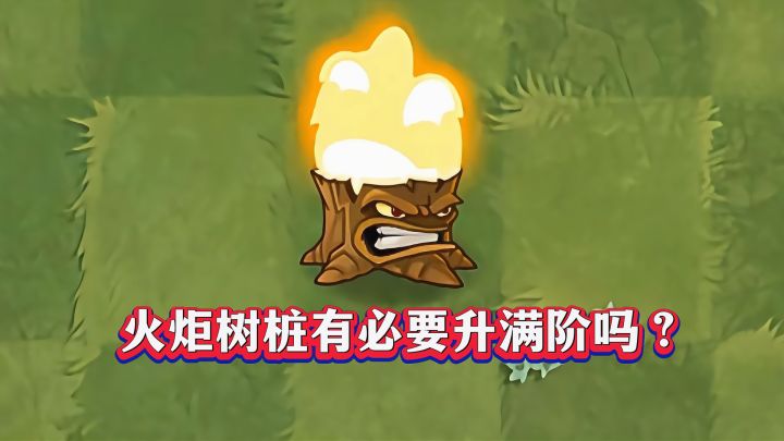 中文版：火炬树桩值得升满级吗？截图