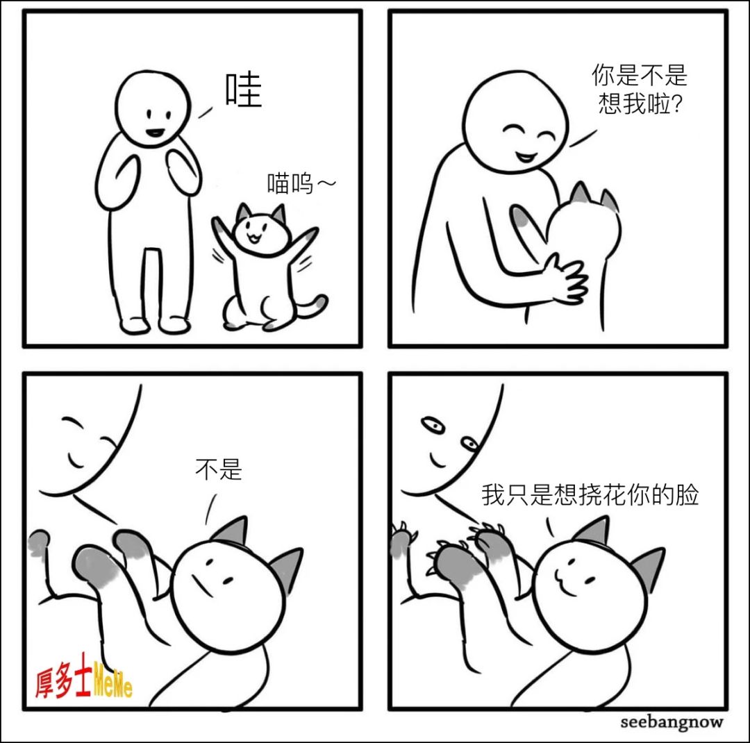 开启多模式选择 2