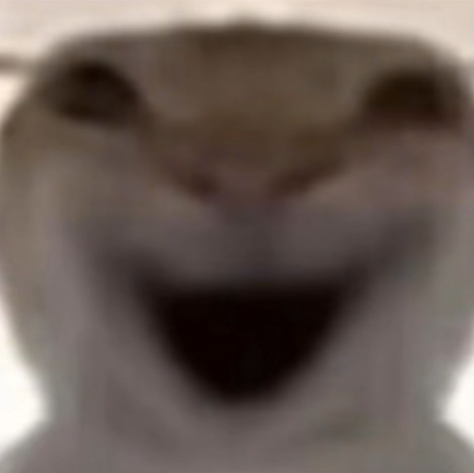 嘿嘿嘿 2