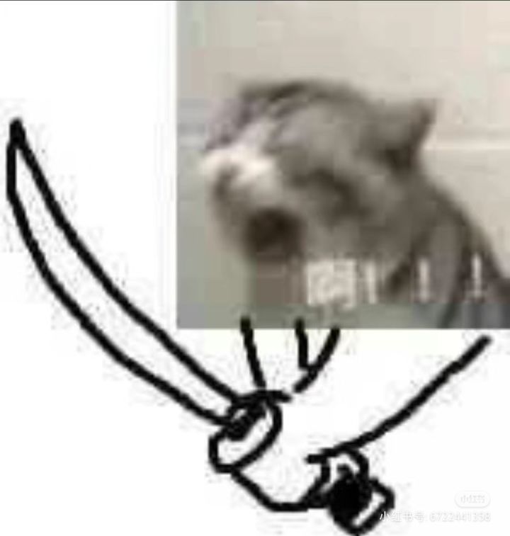 大佬们 打开山河图闪退了奖励还有吗截图