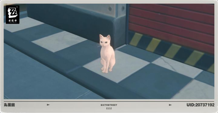 猫猫很可爱截图