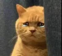 求个码 1