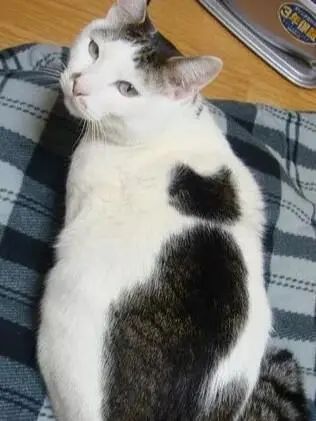 献祭背后兄弟的寿命抽卡截图