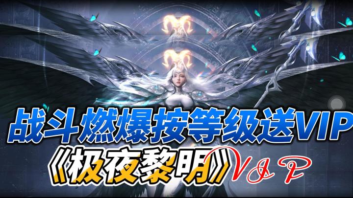 《极夜黎明》:按等级送VIP,装备全靠爆!刺激战斗、迷人美女角色,还有全面挂机!截图