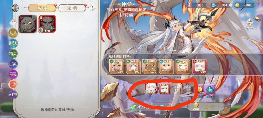定向抽卡性价比 3