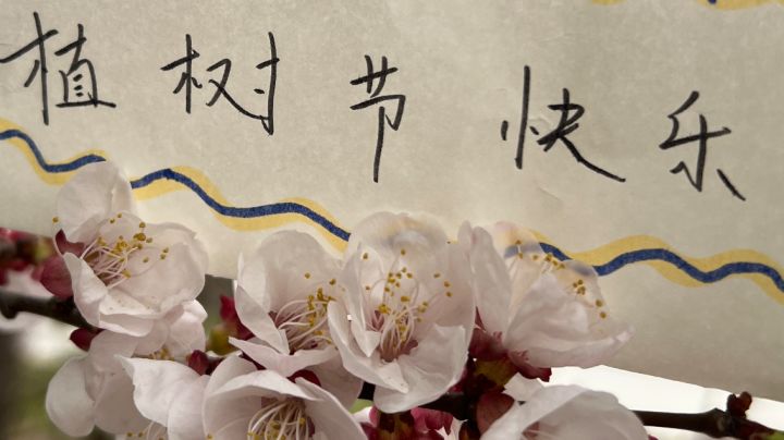 植树节快乐截图