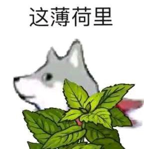 关于我找的民宿有325这件事( 2