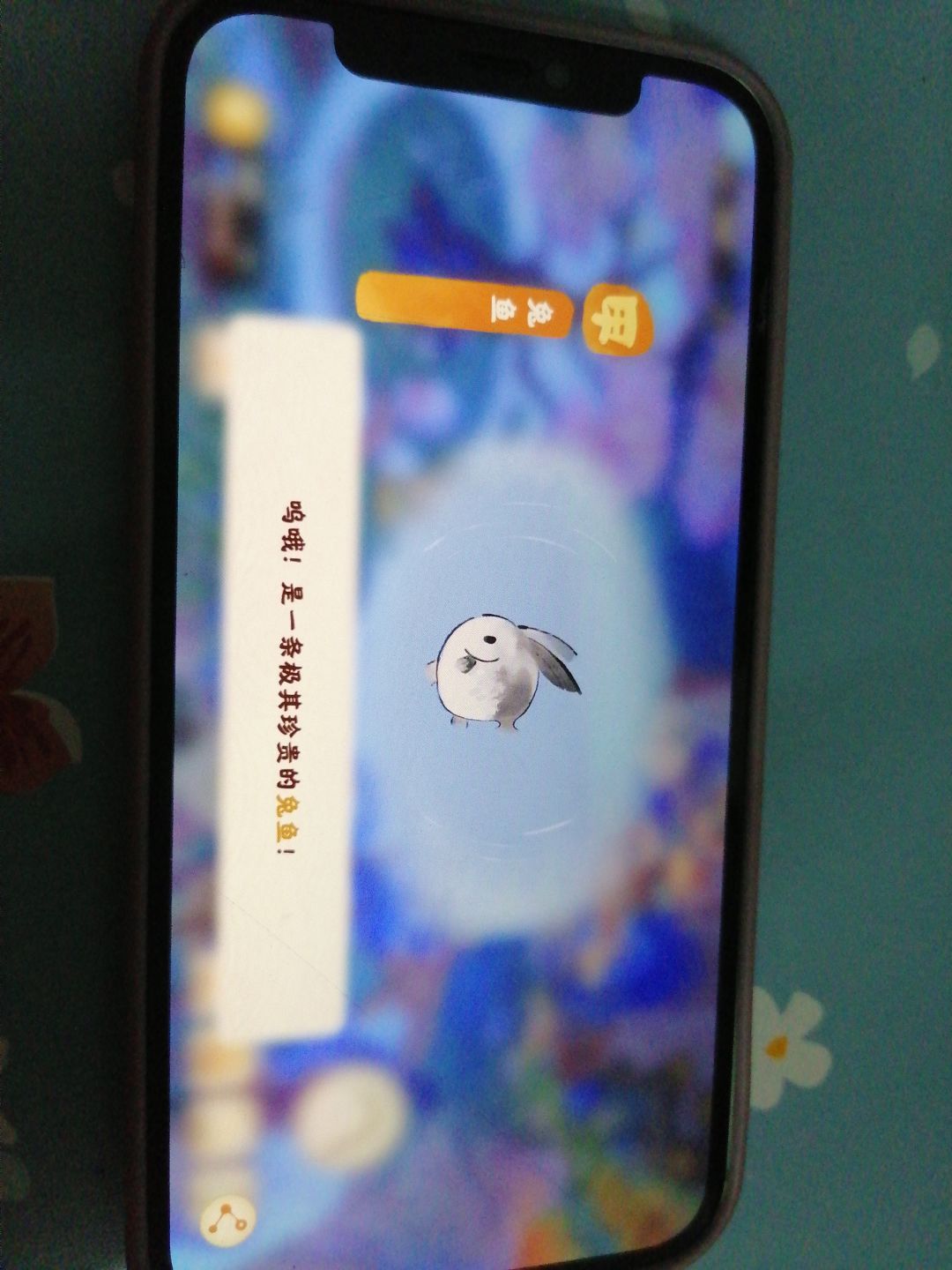 兔鱼 1