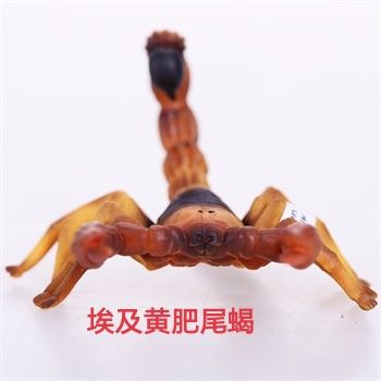 童年神宠,法老王守卫--蝎子王设计考据 2