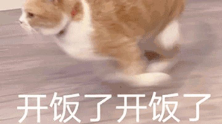 可以说非常下饭了截图