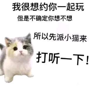 为什么玩了一周段位还是25级 2
