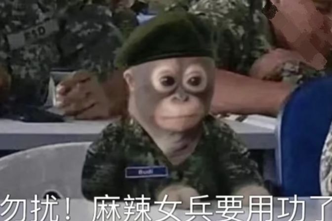 可爱ớ ₃ờ截图