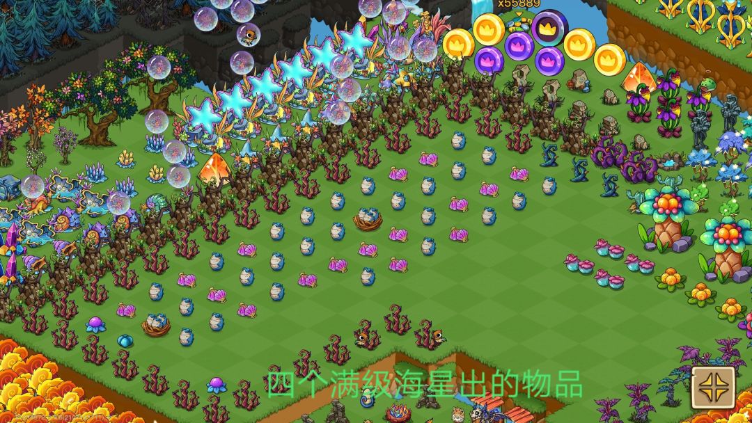 动态图片 7