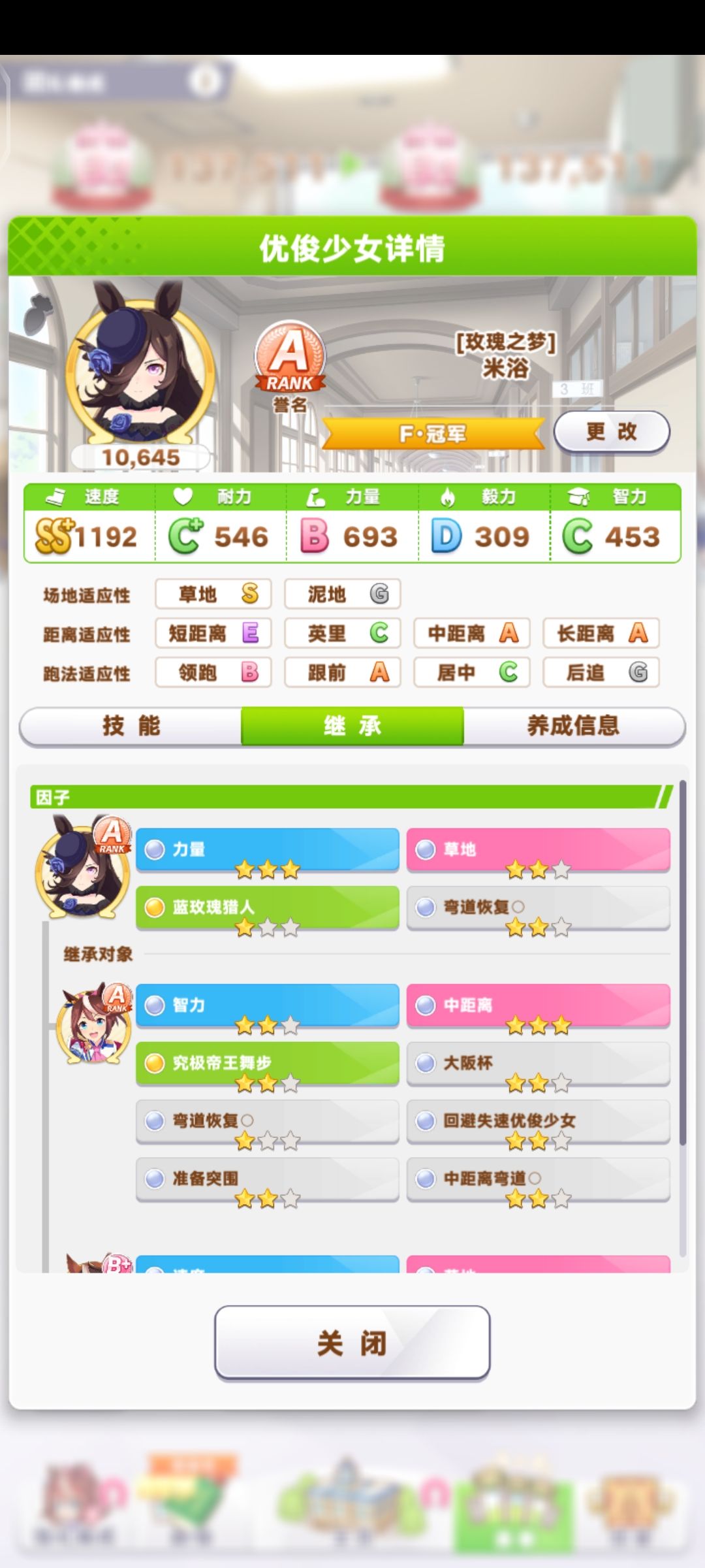 哥哥人大胜利 2