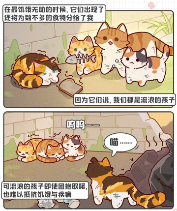 🐈2吨猫粮即将启程！