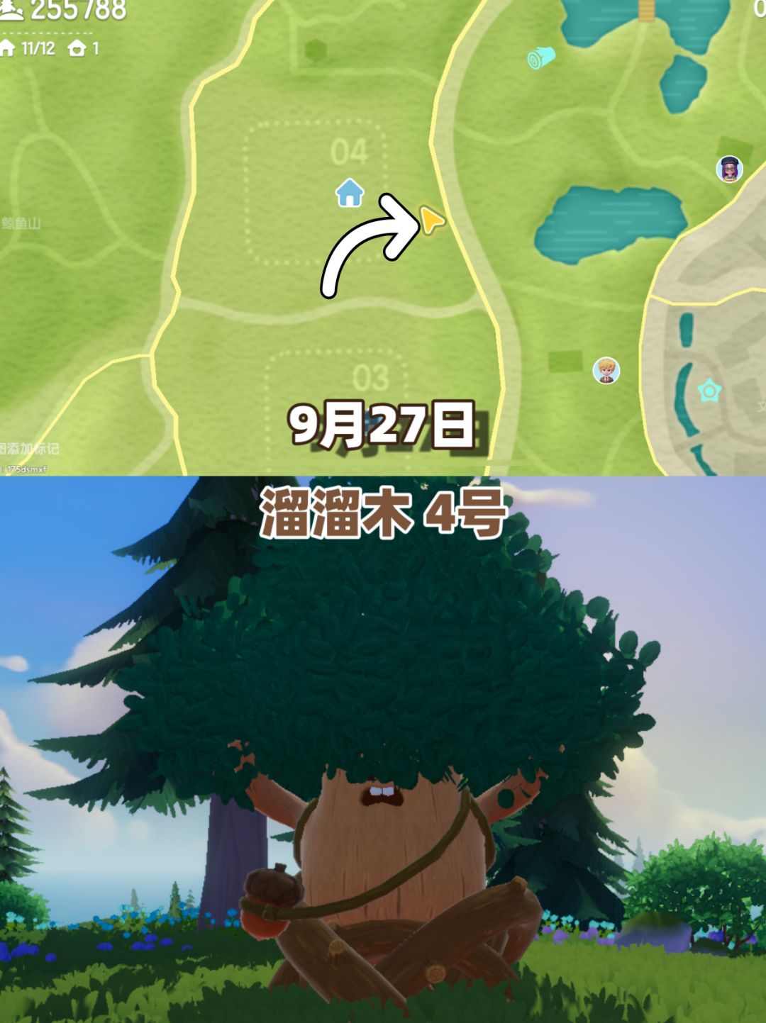 心动小镇 9月27日 溜溜木萤石,时间表天气 2
