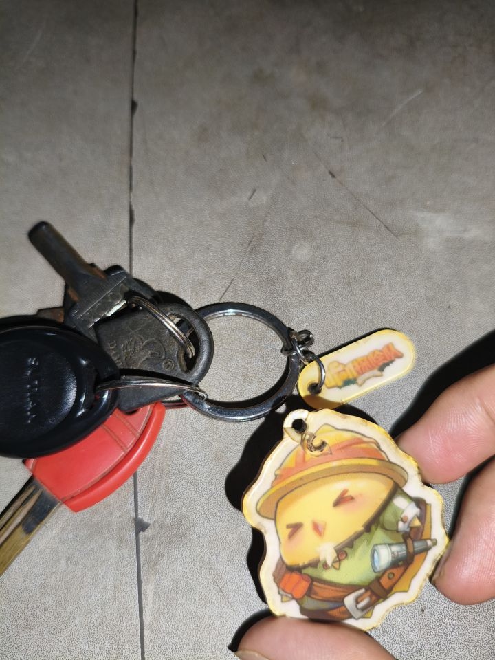 当年删测有奖活动送的探险家小叽坏掉了截图