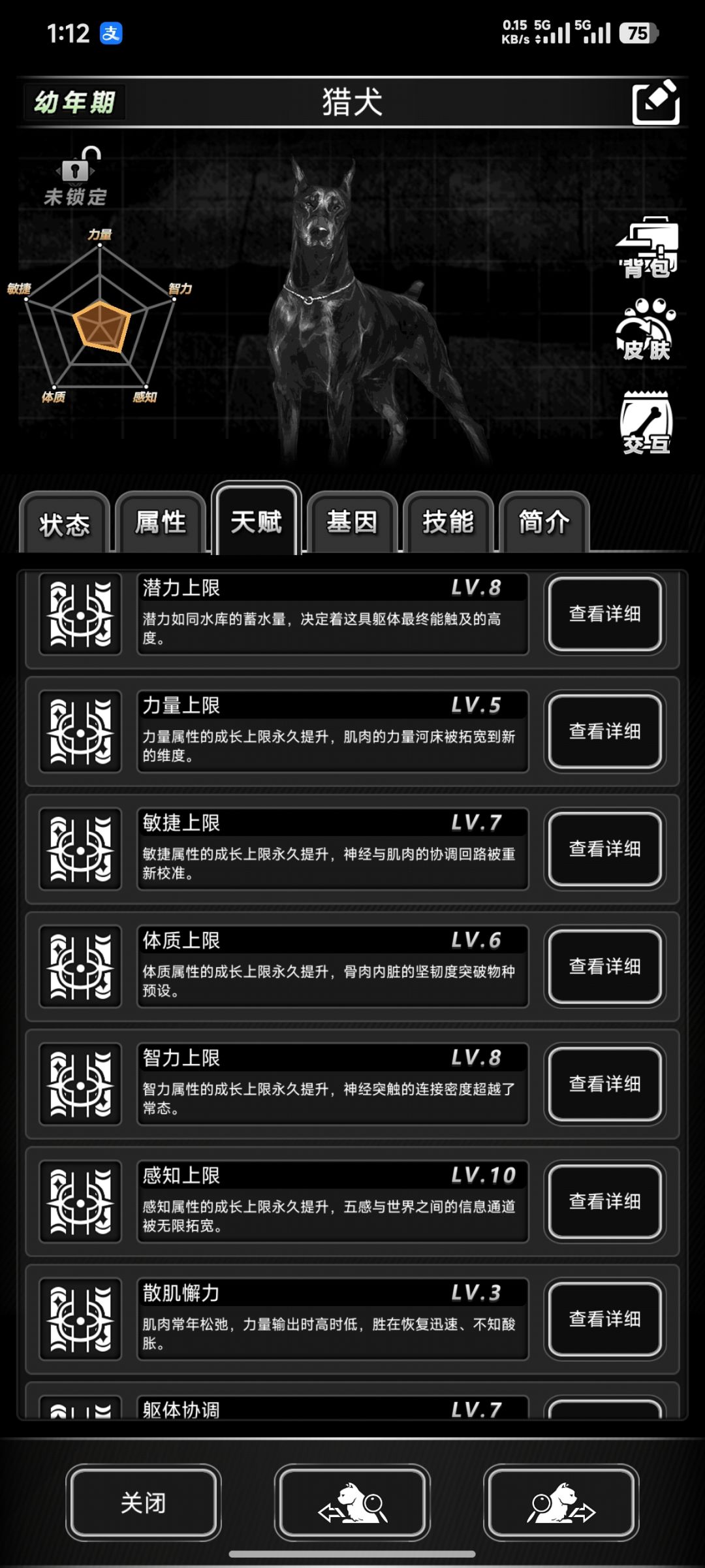 智力616的猎犬 2