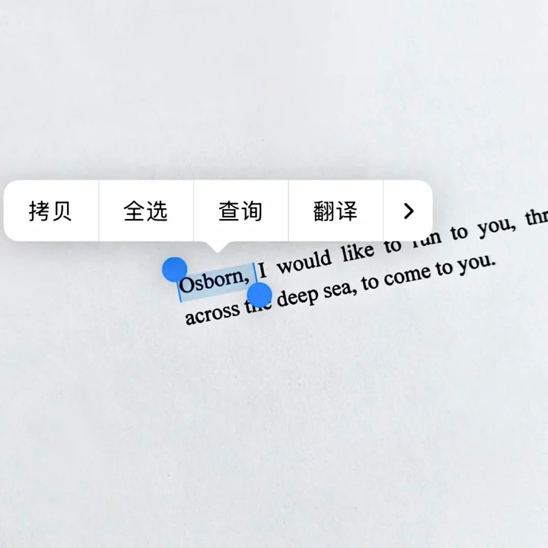 动态图片 4