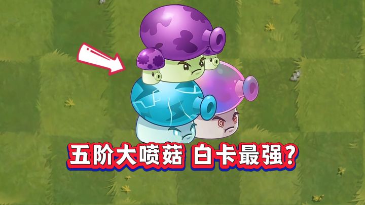 五阶大喷菇，碾压豌豆成白卡之王？截图