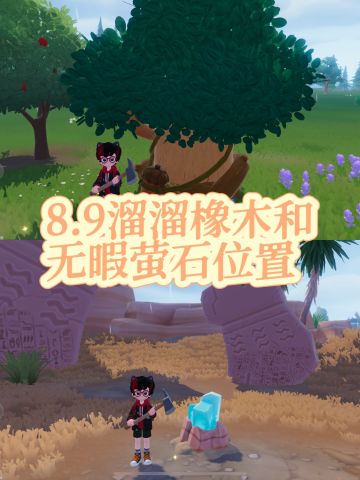 8.9溜溜橡木和无暇萤石位置