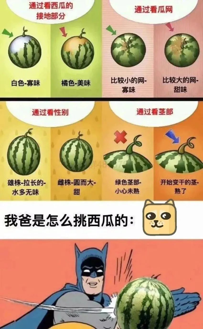 💥青年大学习|如何挑选西瓜❗ 3