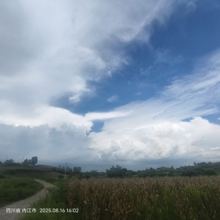真好玩,不过小学生太多!截图