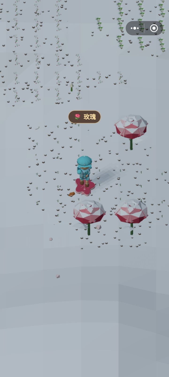 玫瑰滑板与玫瑰截图