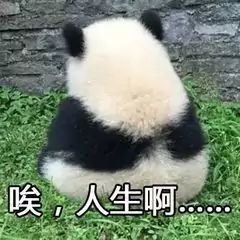 有没有大佬带着打联机的截图