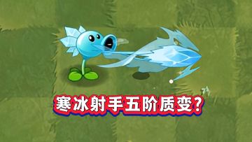 五阶寒冰射手到底强不强？