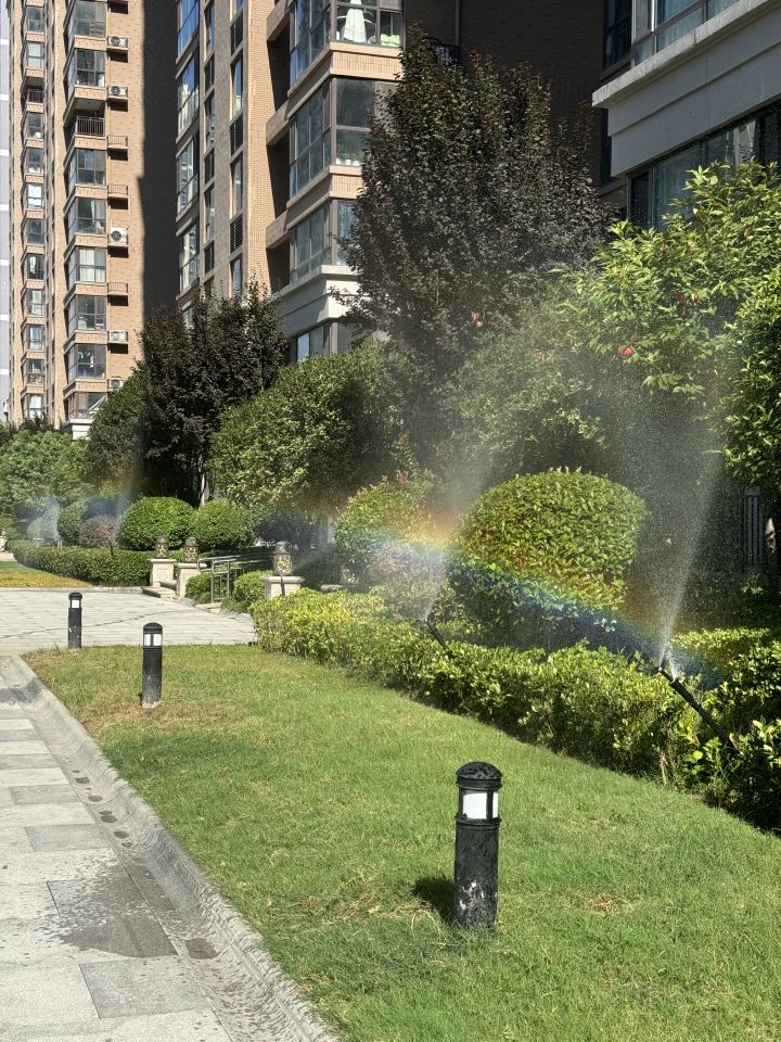 前两天放晴了偶然发现的截图
