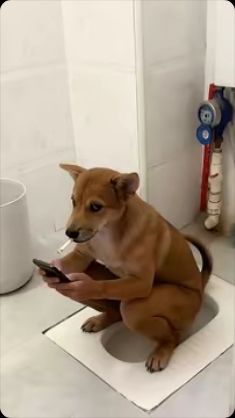 问一下 1
