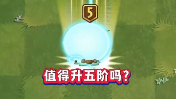 白送都没人要！充能柚子到底值不值得升五阶？