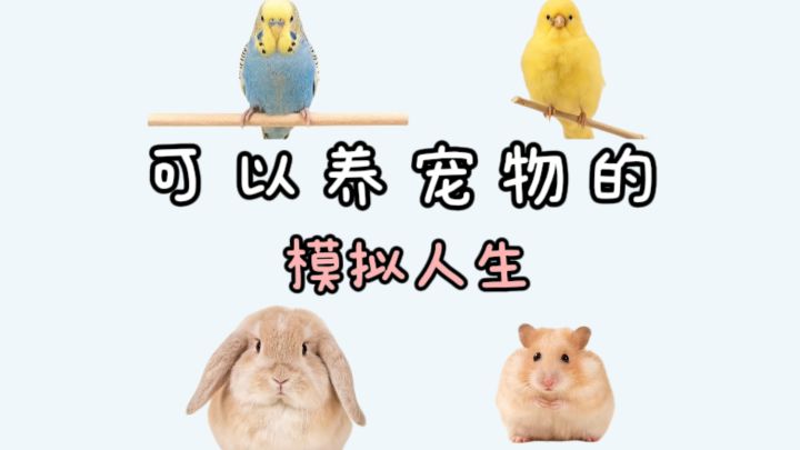 可以养宠物的模拟人生,好治愈❗️截图