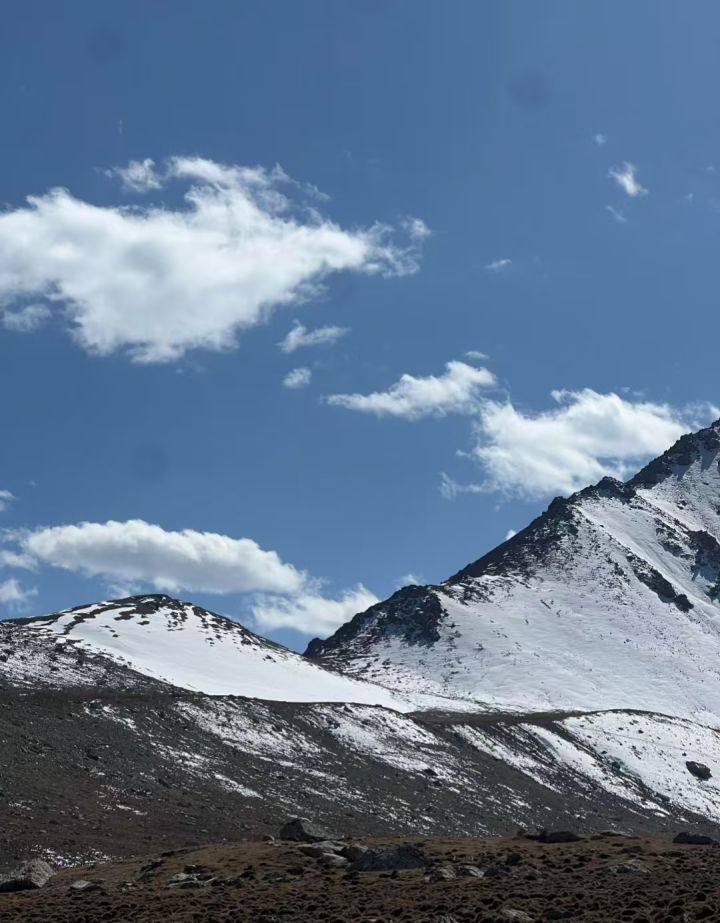 我想跟艾冻冻一起去巴尔斯圣山，在蓝天白云和皑皑白雪下一起打雪仗、堆个专属的“雪冻冻”，享受快乐自由的小长假！这么冷的天气，有艾冻冻在肯定特别有趣～截图