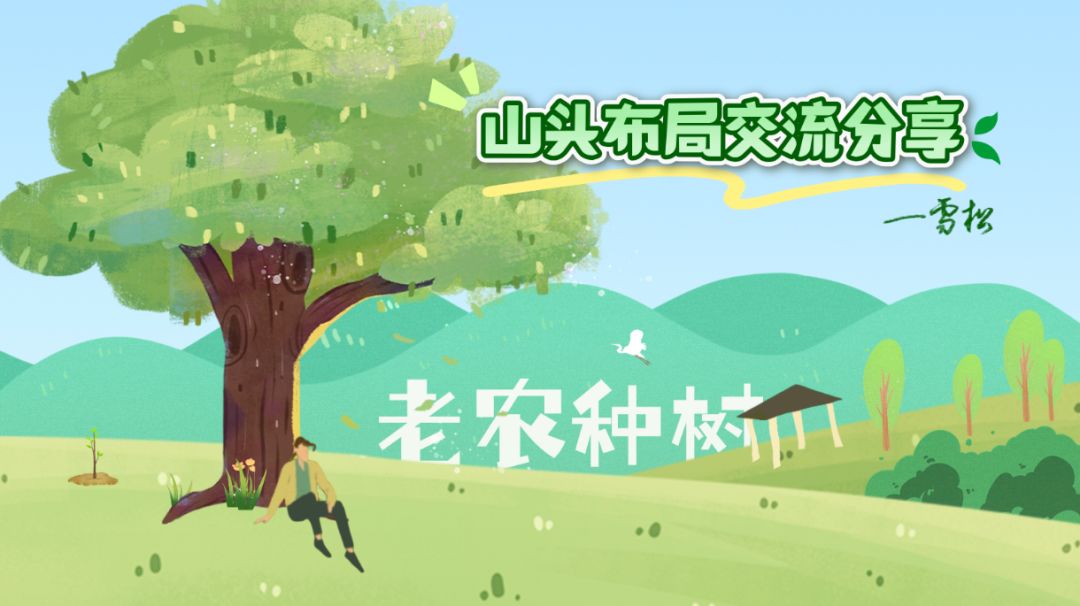 种树截图