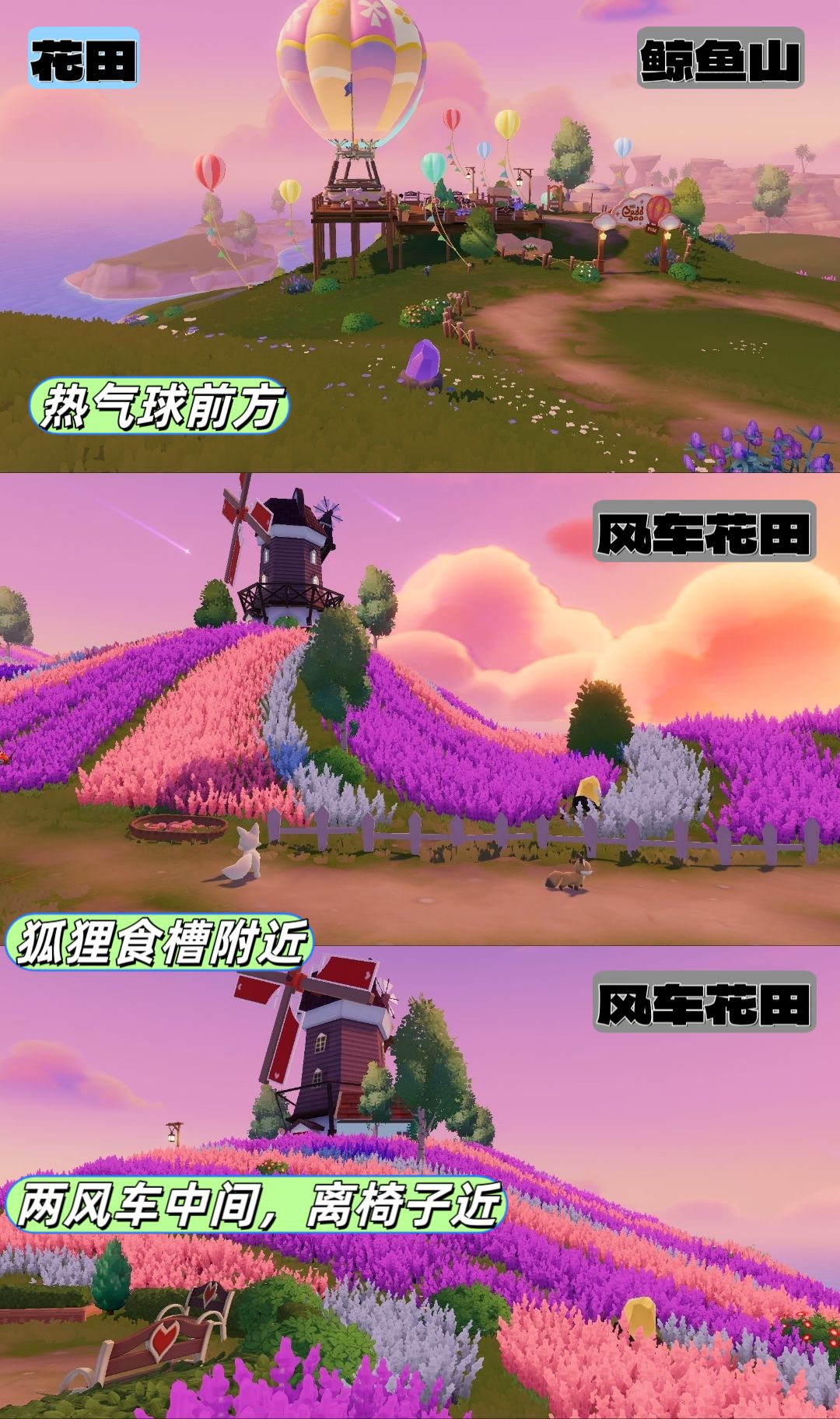 8.29花田月下流星朵朵 3
