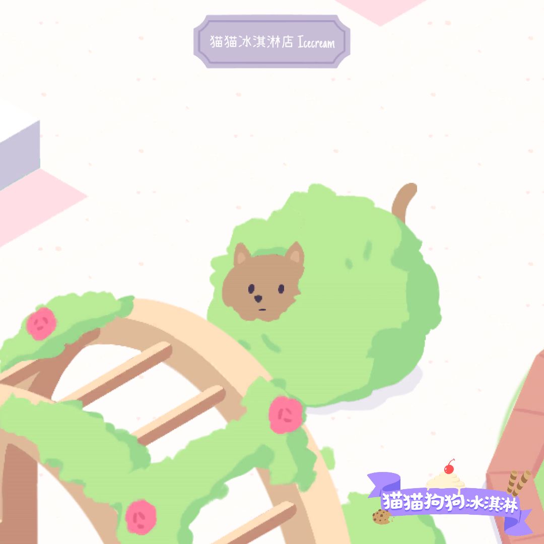 发帖领猫猫大礼包 3