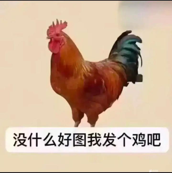 大佬进来帮忙看看猫二千敏截图