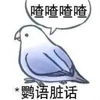 骂了它好几年了,也算是骂出感情了。 2