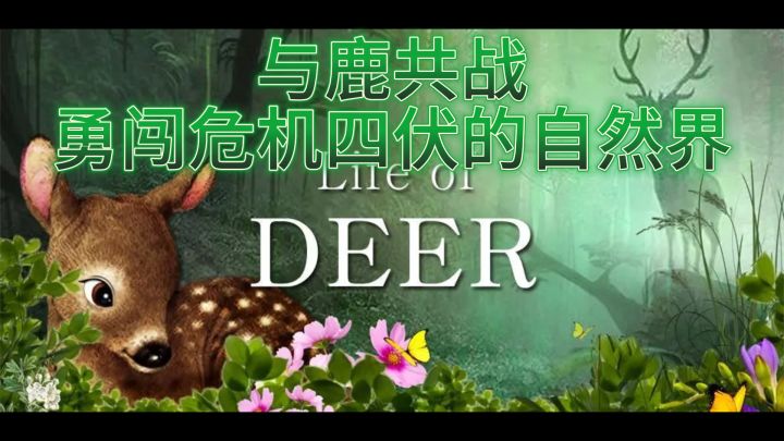 《鹿的一生》——生存挑战,情感纽带!截图