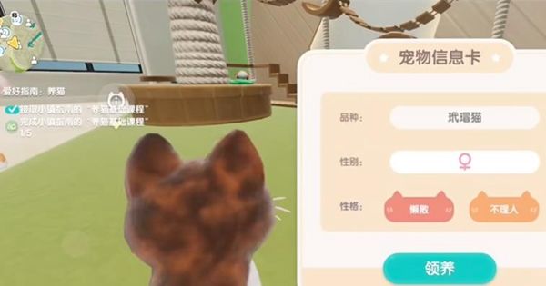 《心动小镇》猫咪种类大全一览 新手攻略 2