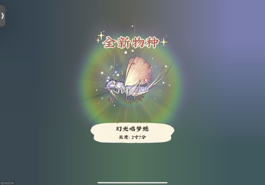 一月份虫岛|☁️ 2