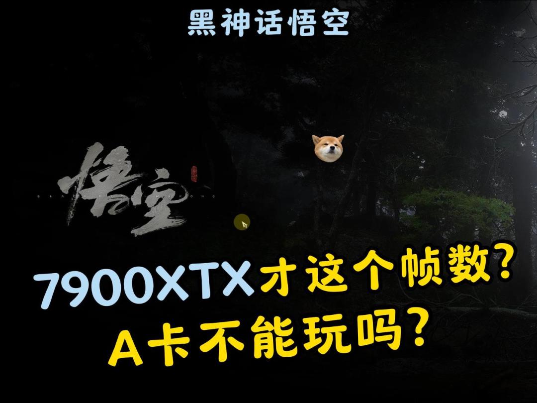 video-4335482
