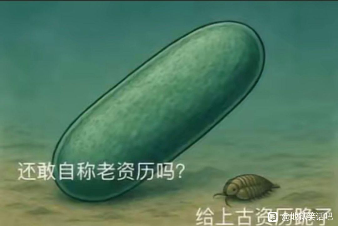 开新职业怎么快速升级 1
