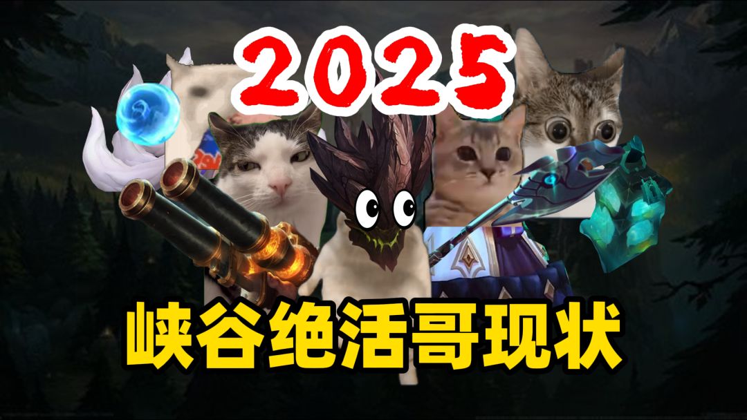 video-4667006