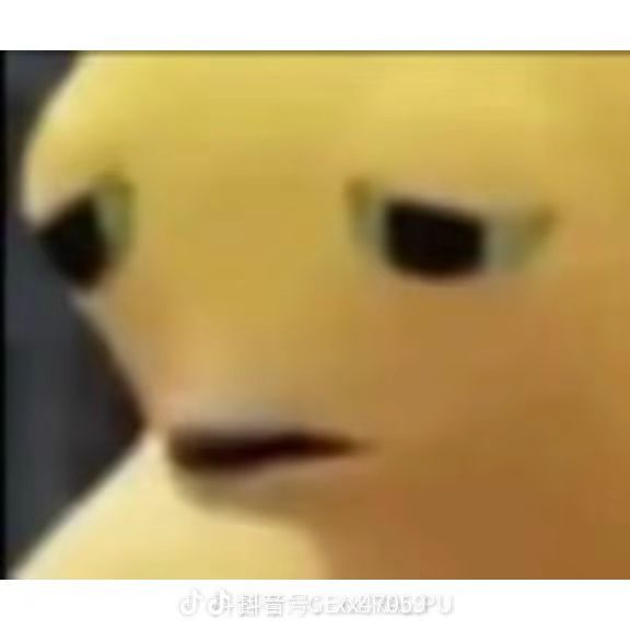 这次测试没有群吗 1